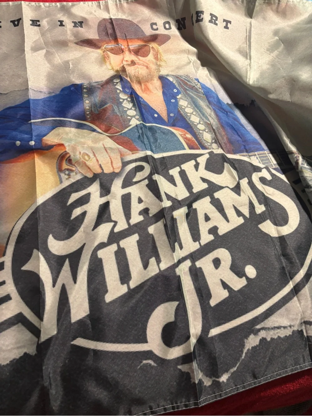 Hank Williams Jr 36”x 59” Graphic Concert-Style Banner live in concert . Rare